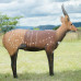 Wildcrete Bushbuck